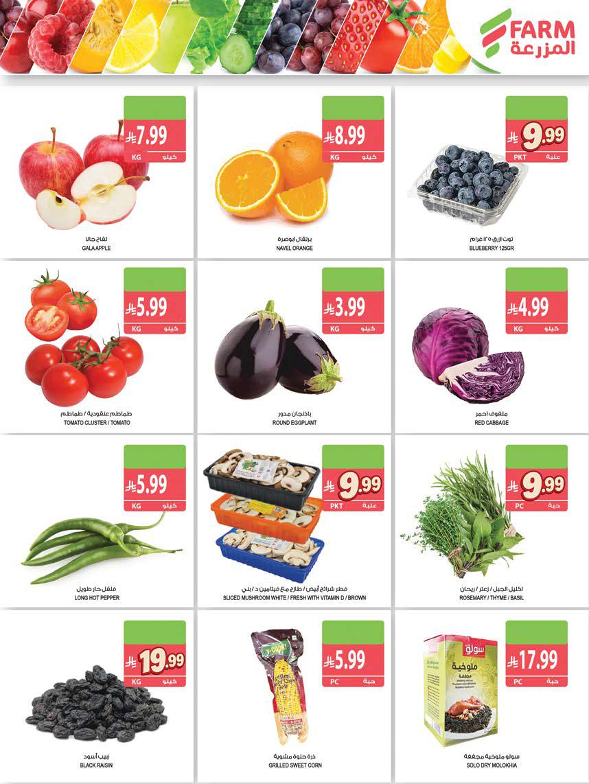 img4 1